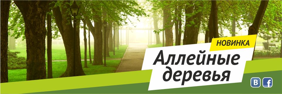 Аллейные деревья