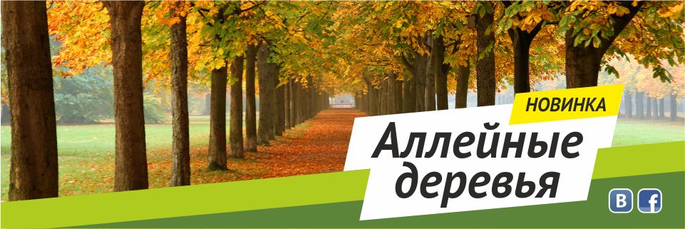 Аллейные деревья