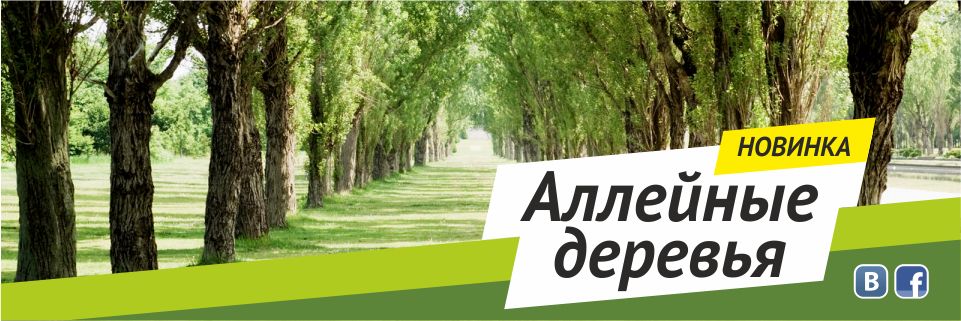 Аллейные деревья
